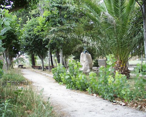 termasold (9)