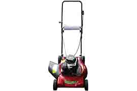 lawnmower with engine