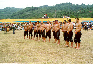 9.Uluslararas� �nye K�lt�r Sanat ve Turizm Festivalindeki Ya�l� Pehlivan G�re�leri