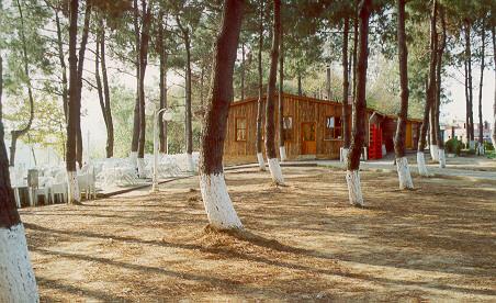 �ak�rtepe Sami Soysal Aile �ay Bah�esinden bir g�r�nt�