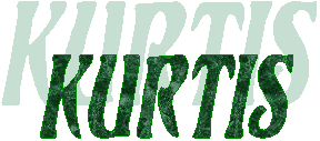 Kurtis 