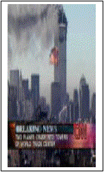 Text Box:  