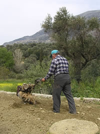 kreta bauer