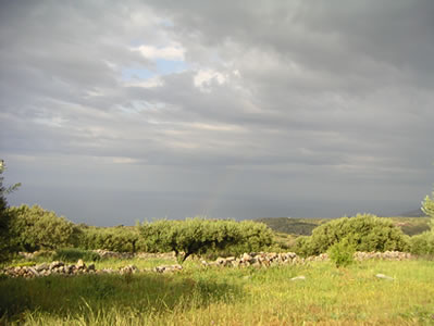 ostkreta