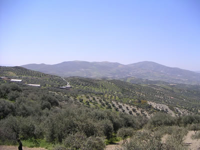 zentralkreta