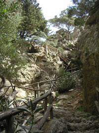 kreta zaros