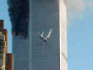 2473735_zweites_flugzeug_im_anflug_.jpg (7100 Byte)