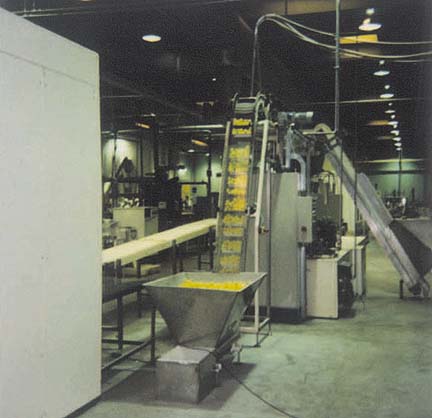 Chips.JPG - 25233 Bytes