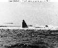 The raising of USS Squalus