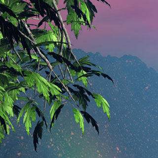 Free texture map for  Bryce 5 Trees