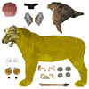 Free texture map for Poser Lion