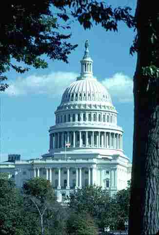 Washington, DC is the capital of America. align = 