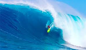 surf2.jpg