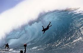 surf3.jpg