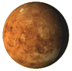 Beautiful Venus