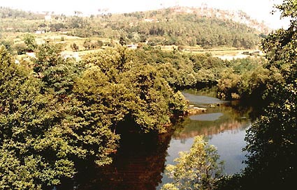 O r&iacute;o Ulla nas proximidades da Ponte Ulla. (c) D. Janeiro 1998