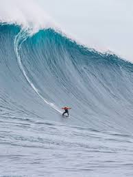 surf1.jpg