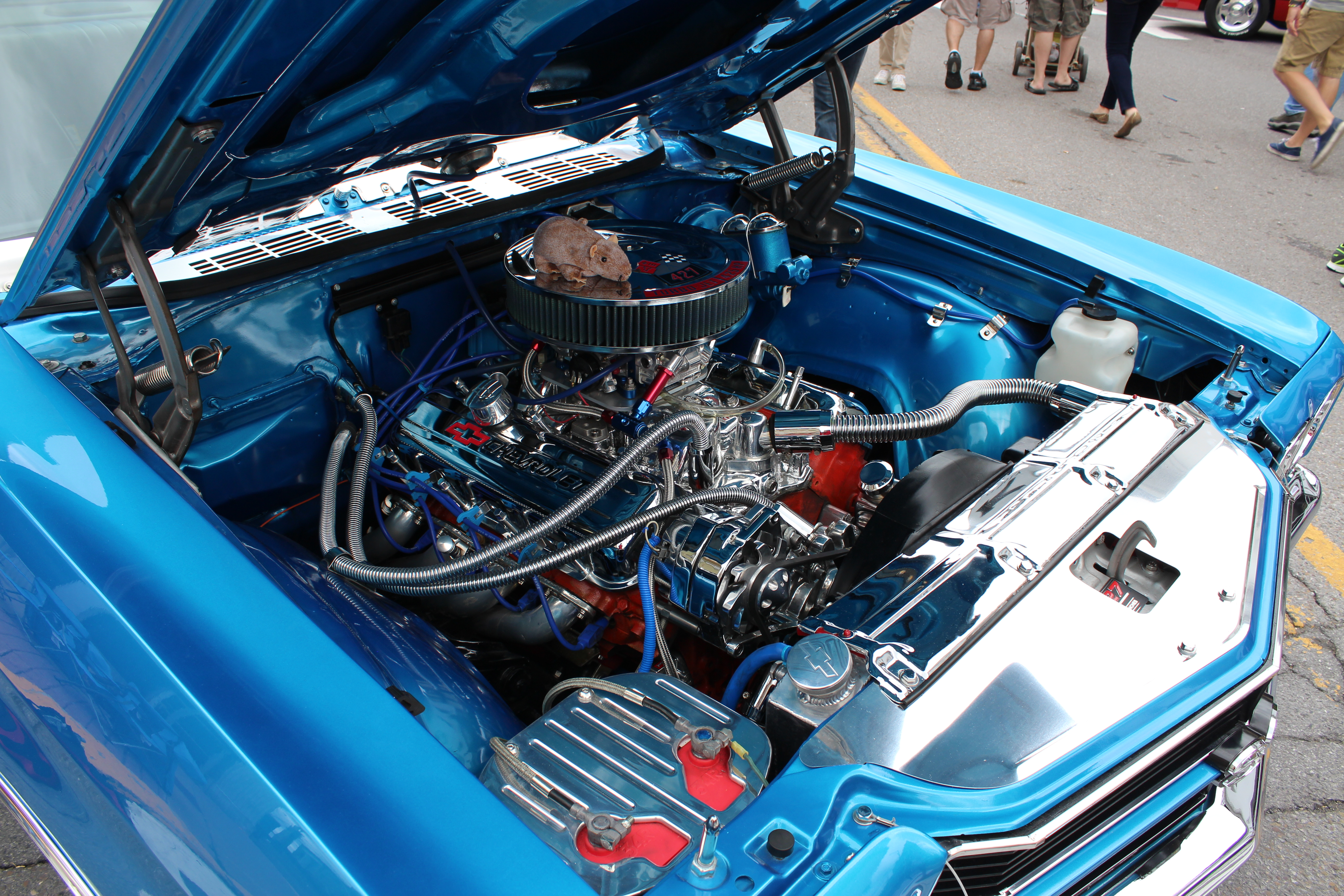 Bellefonte Cruise 3
