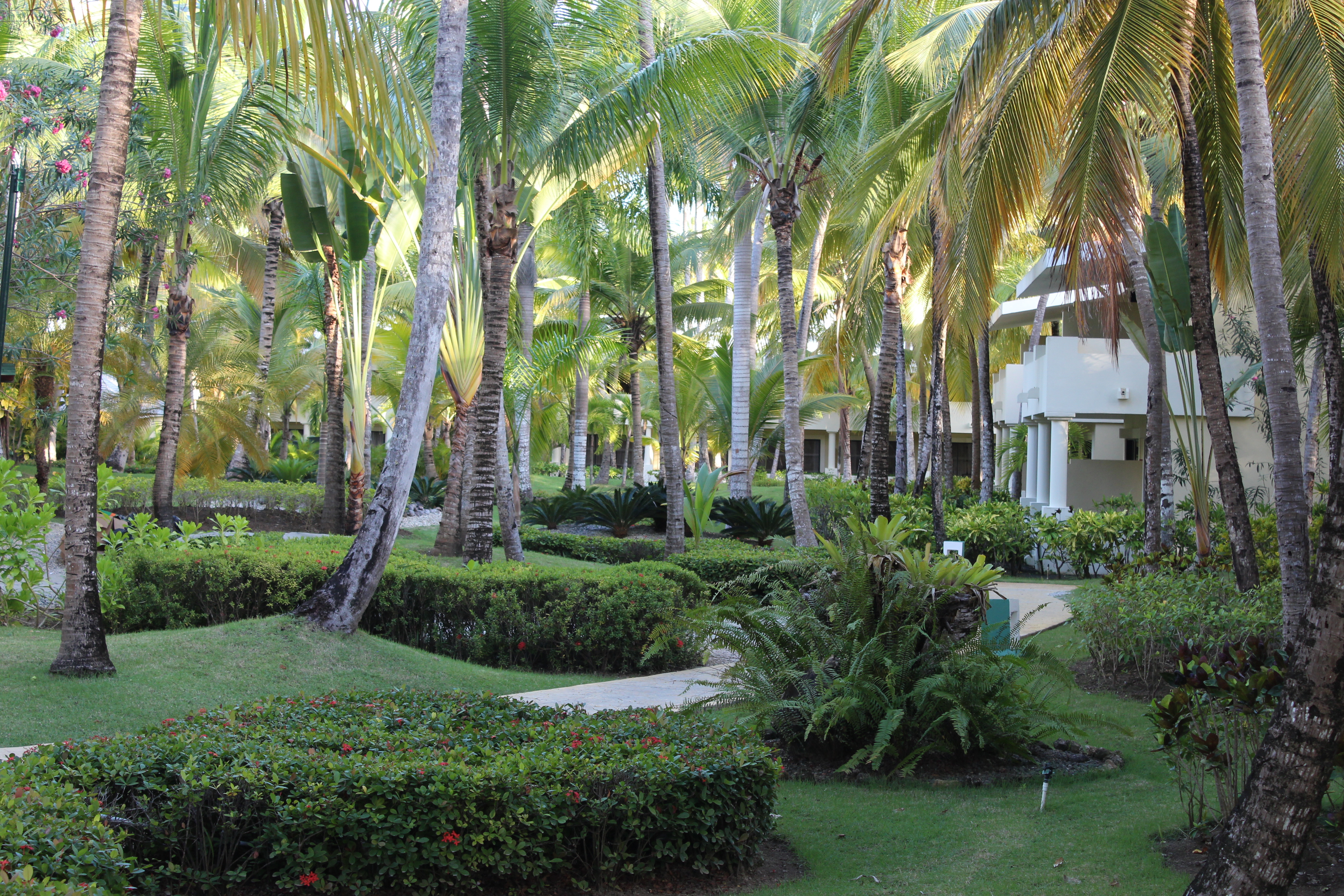 Punta Cana 5