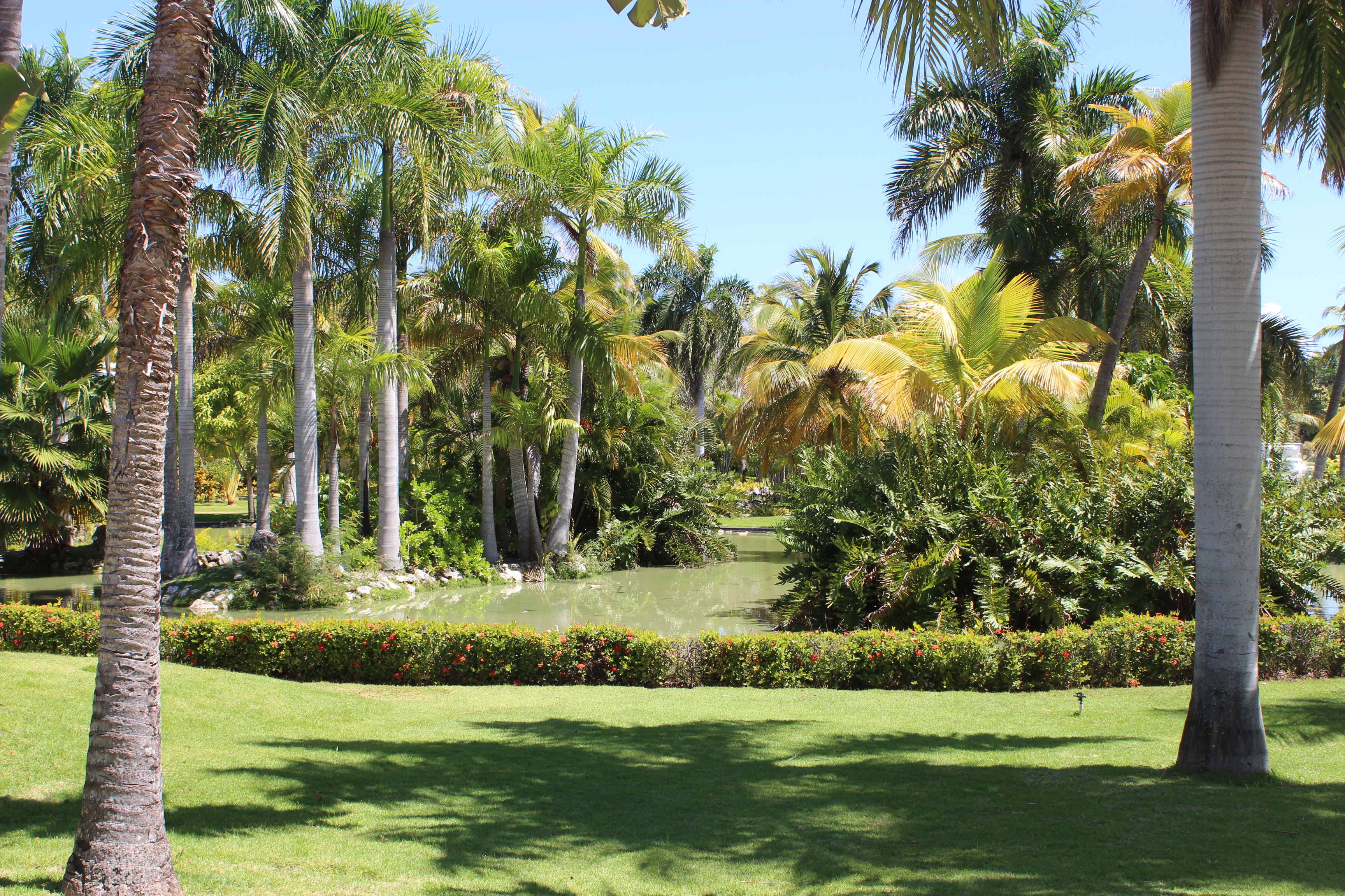 Punta Cana 8
