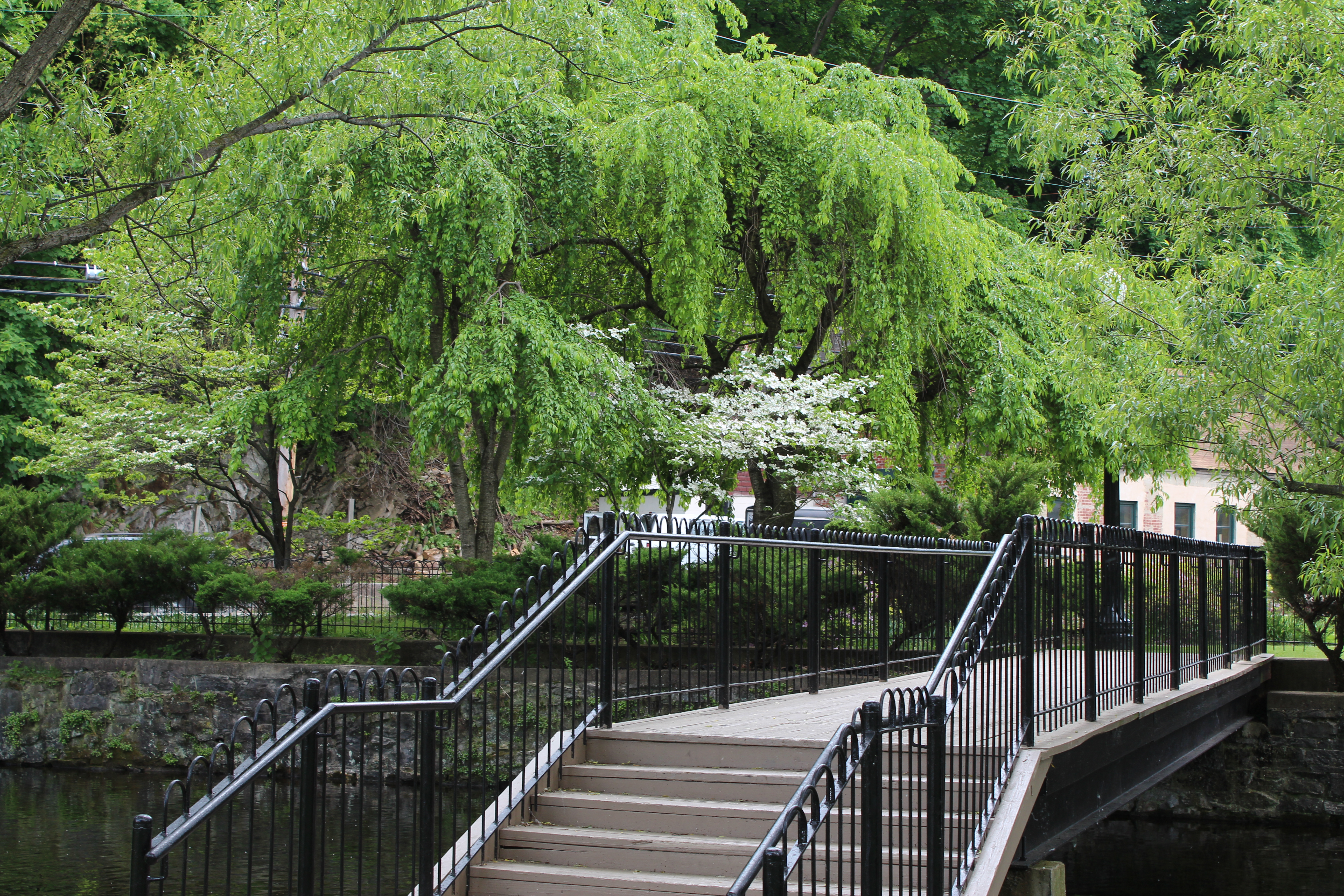 Talleyrand Park 2