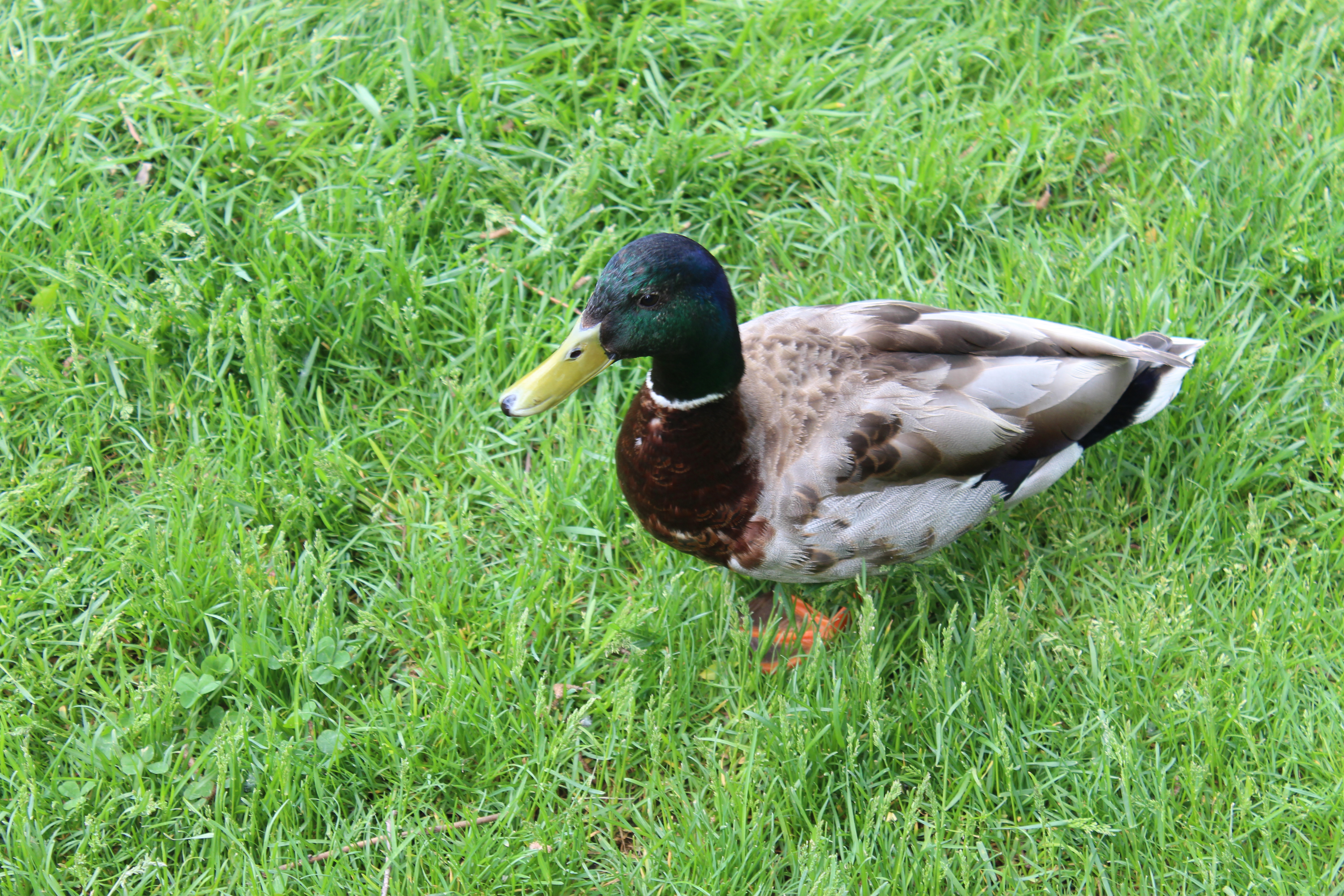 Talleyrand Park 3