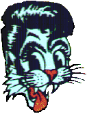 Foto&acute;s Stray Cats Concert in Hamburg