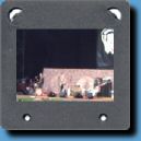 StrayCatsHH02.jpg