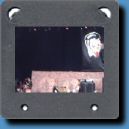 StrayCatsHH03.jpg