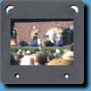 StrayCatsHH07.jpg