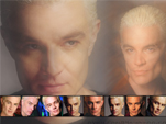 Spike (1 pic)