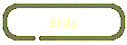 Bilda