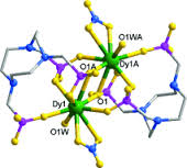 Dysporsium