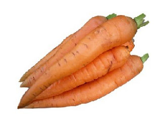 Carrot