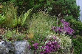 Grasses