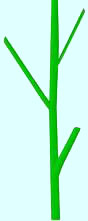 stem