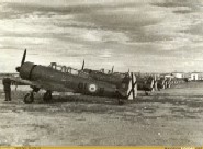 espa�a