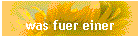 was fuer einer