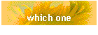 which one