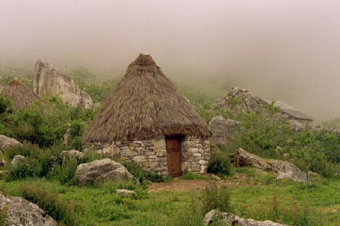 Vista de la Bra�a Vietxa