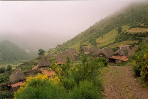 LA PORNACAL