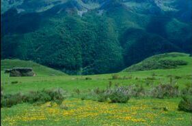 zona de pastos en Somiedo