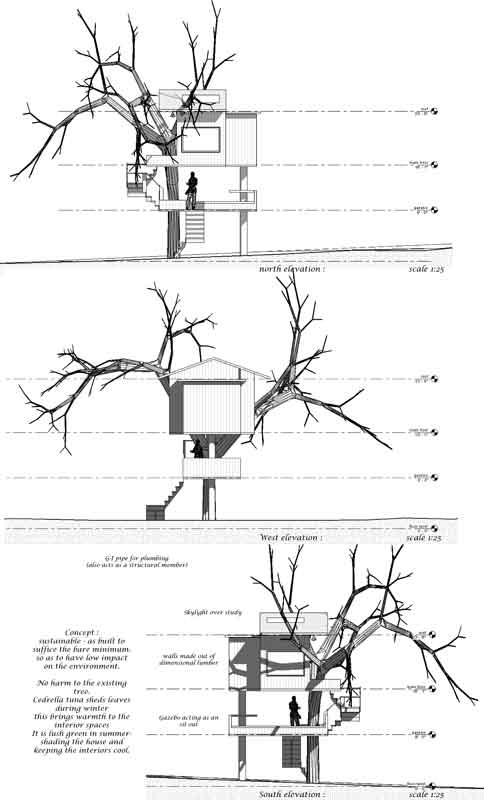 sections