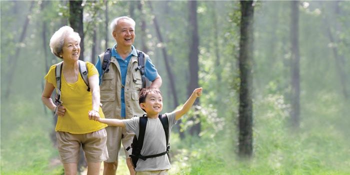 Mang lại lợi ích hưu trí định kỳ