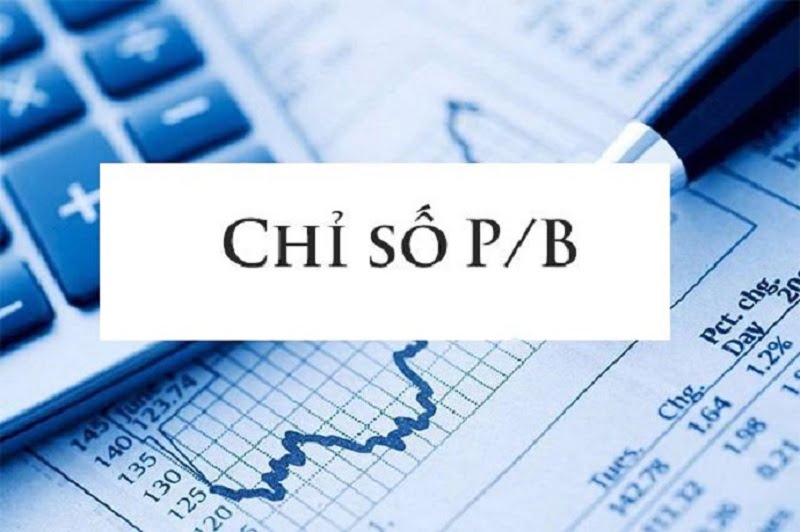 p/b là gì