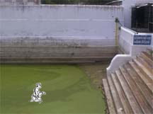 Kapila Theertham Kumbakonam