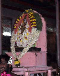 Utsava Moorthi during daily rounds
