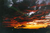 Image of sunset in Phoenix, AZ