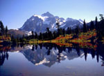Great Image Gallery