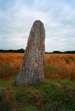 Go to my Swedish Gallery